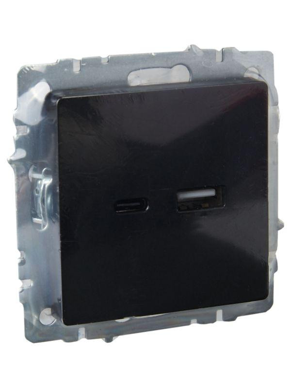 Розетка BRITE USB A+C 18Вт РЮ11-1-БрЧ механизм черн. IEK BR-U22-018-K02