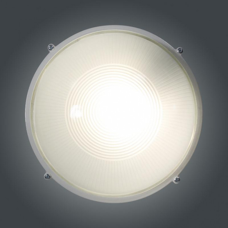 Светильник "Банник" 1101 НПП 03-100-009 1х100Вт E27 IP65 круг большой корпус бел. Элетех 1005500930