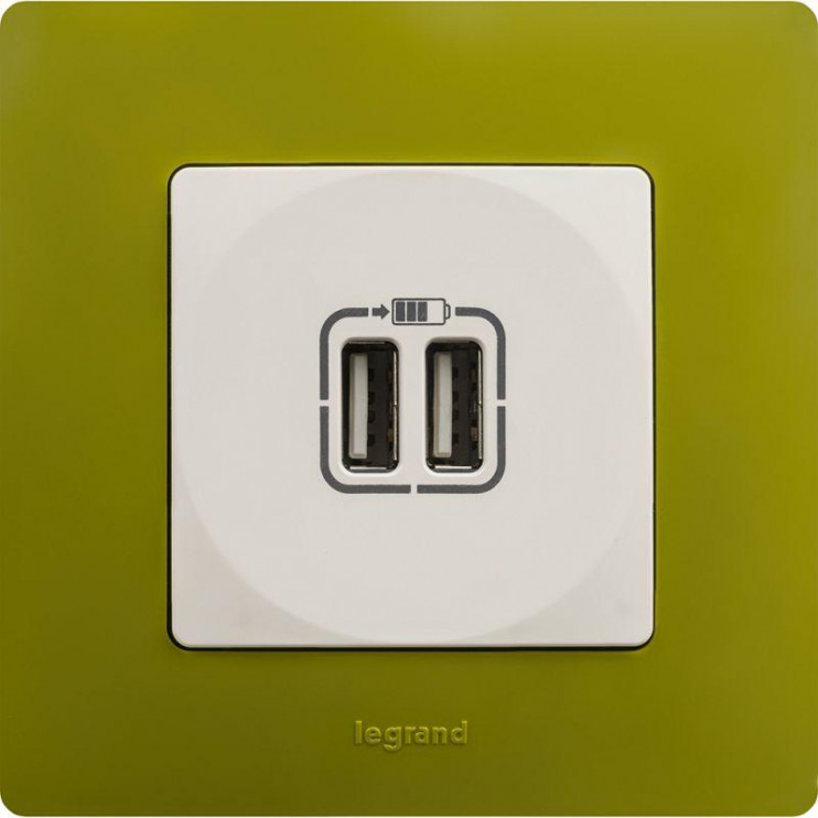 Рамка 1-м Etika зел. папоротник Leg 672541