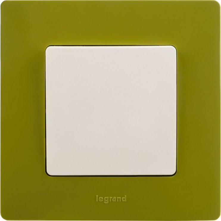 Рамка 1-м Etika зел. папоротник Leg 672541