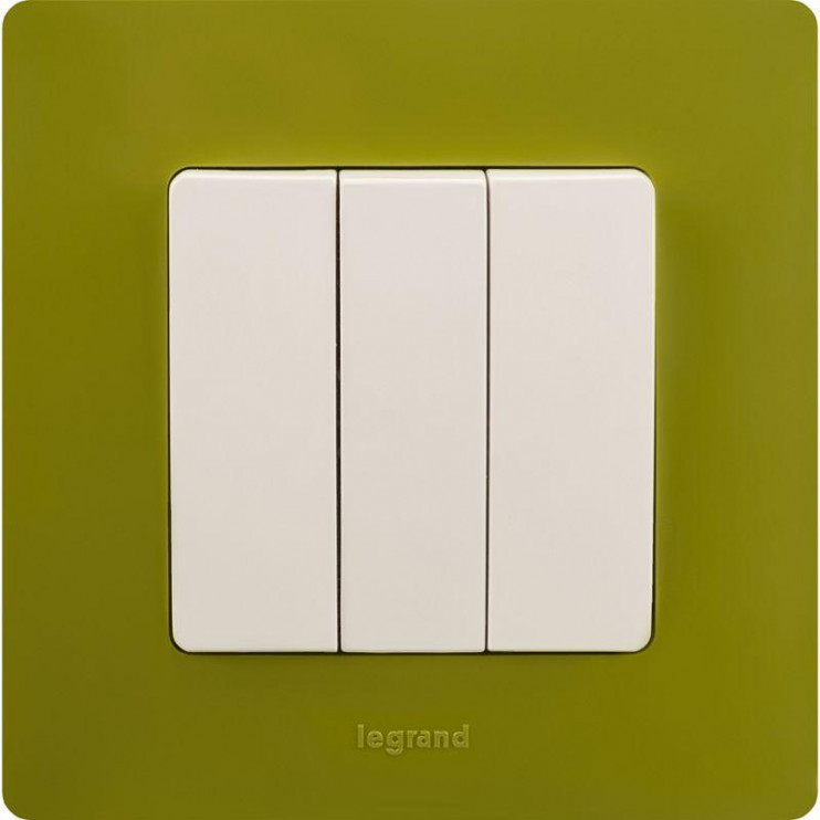 Рамка 1-м Etika зел. папоротник Leg 672541