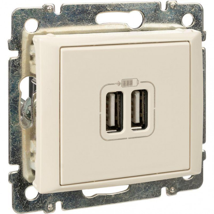 Розетка USB 2-м СП Valena сл. кость Leg 774170