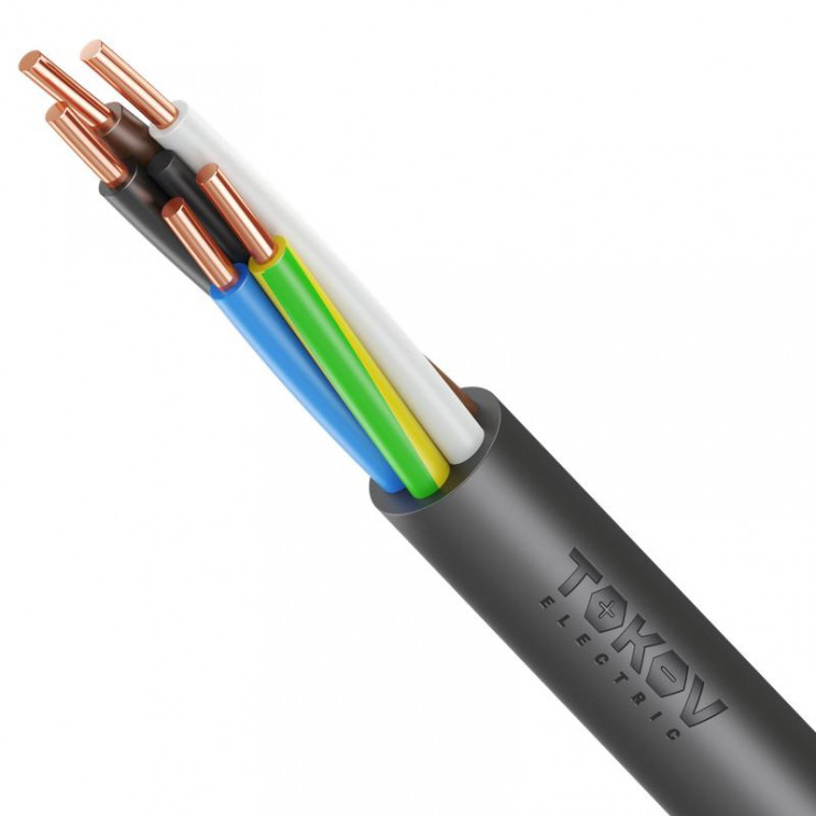 Кабель TOKOV ELECTRIC ППГнг(А)-HF 5х10 ОК (N PE) 1кВ (м) ТХМ00416253