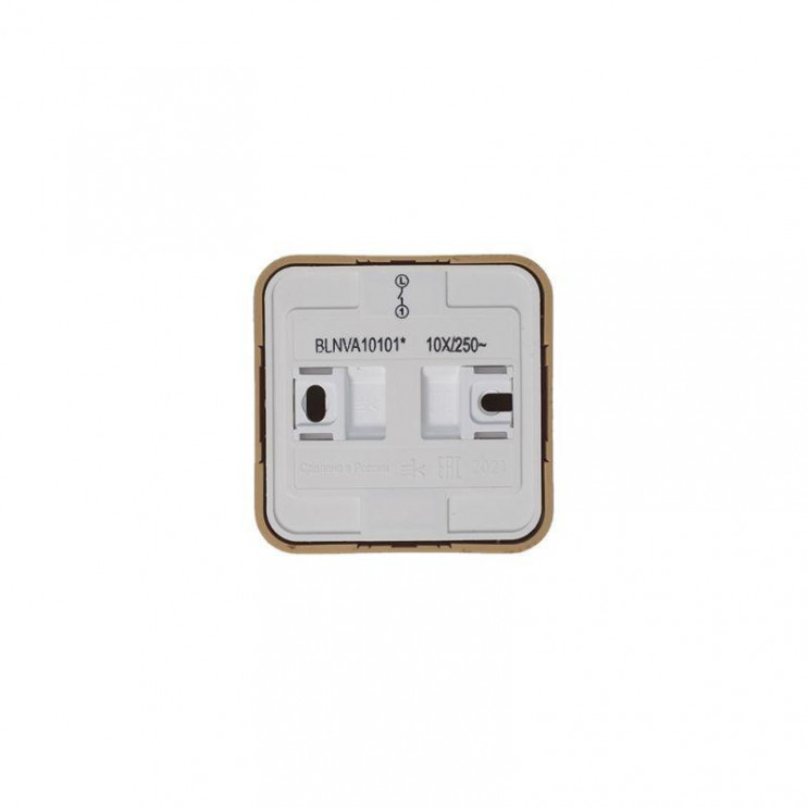 Выключатель 1-кл. ОП Blanca 10А IP20 (сх. 1) 250В с изолир. пластиной ясень SE BLNVA101015