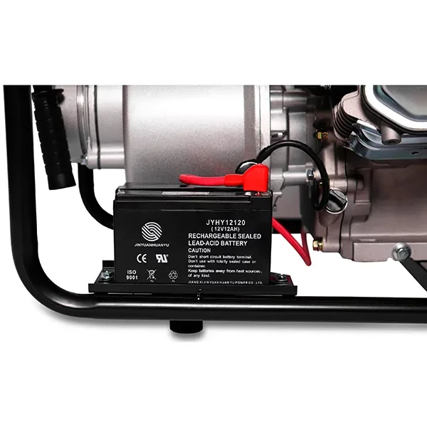 CHAMPION GP100E в наличии спб
